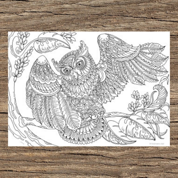 Owl with a twist printable adult coloring page from