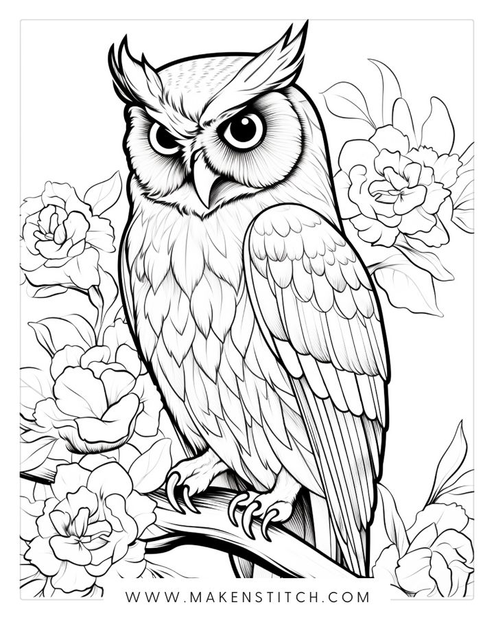 Owls coloring pages for kids and adults