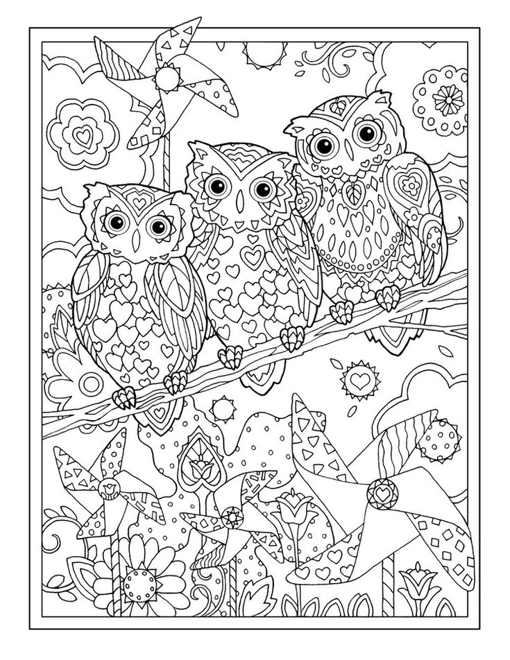 Owl coloring pages for adults free detailed owl coloring pages