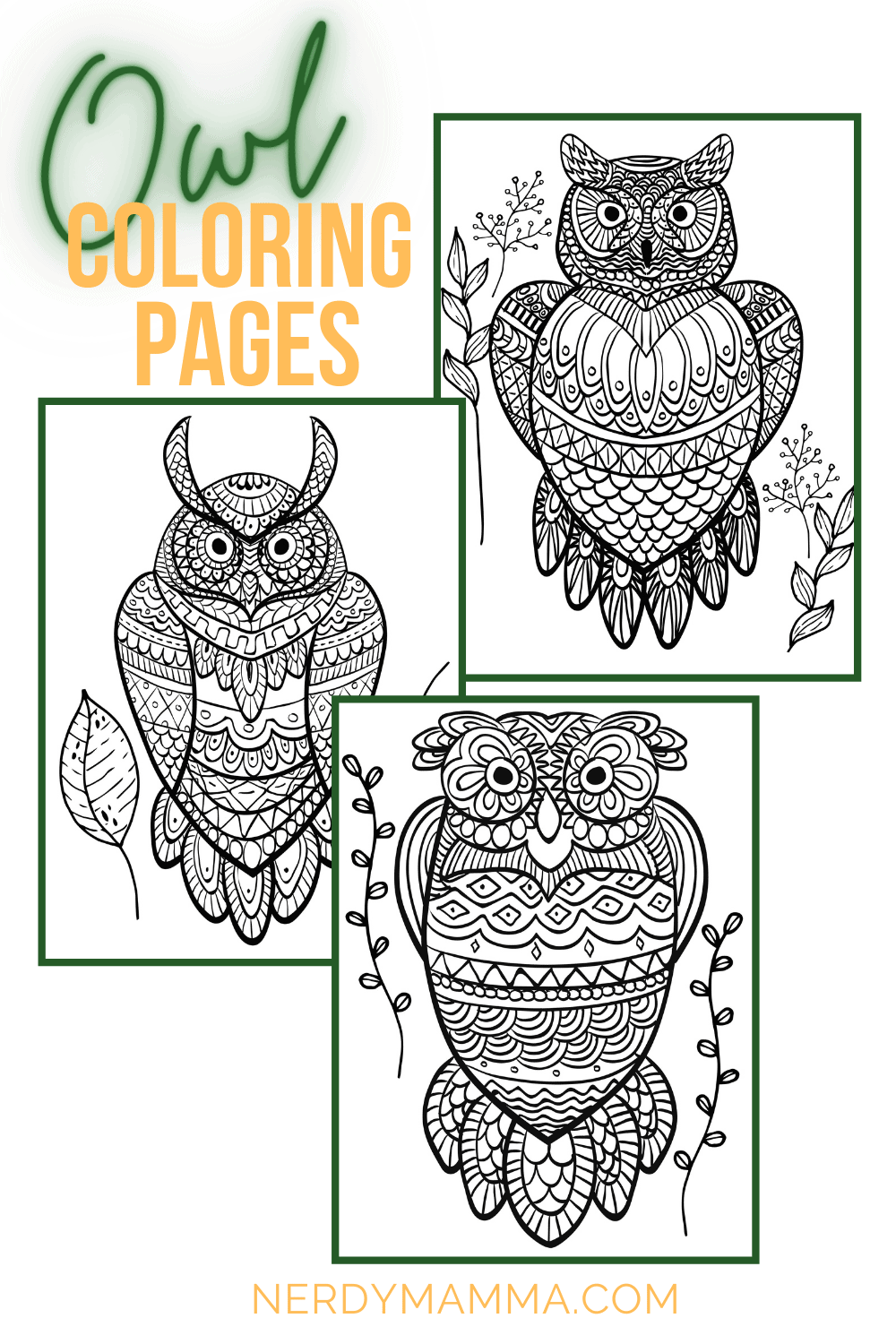 Owl coloring pages