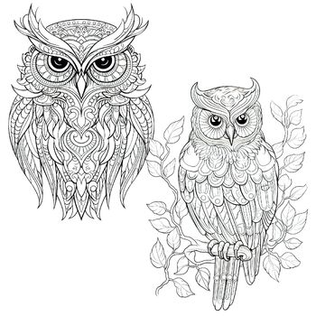Owl coloring pages for relaxation and stress relief for teens adults