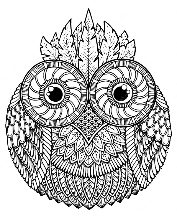 Free printable coloring page for adults with owl