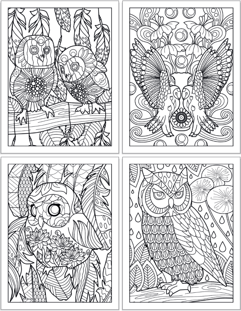 Free printable owl coloring pages for adults