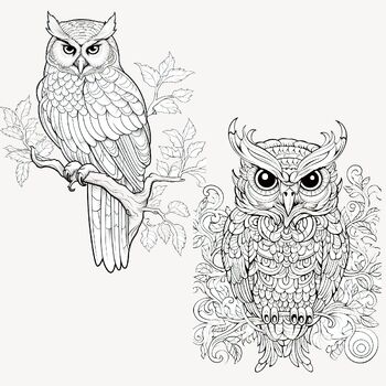 Owl coloring pages for relaxation and stress relief for teens adults