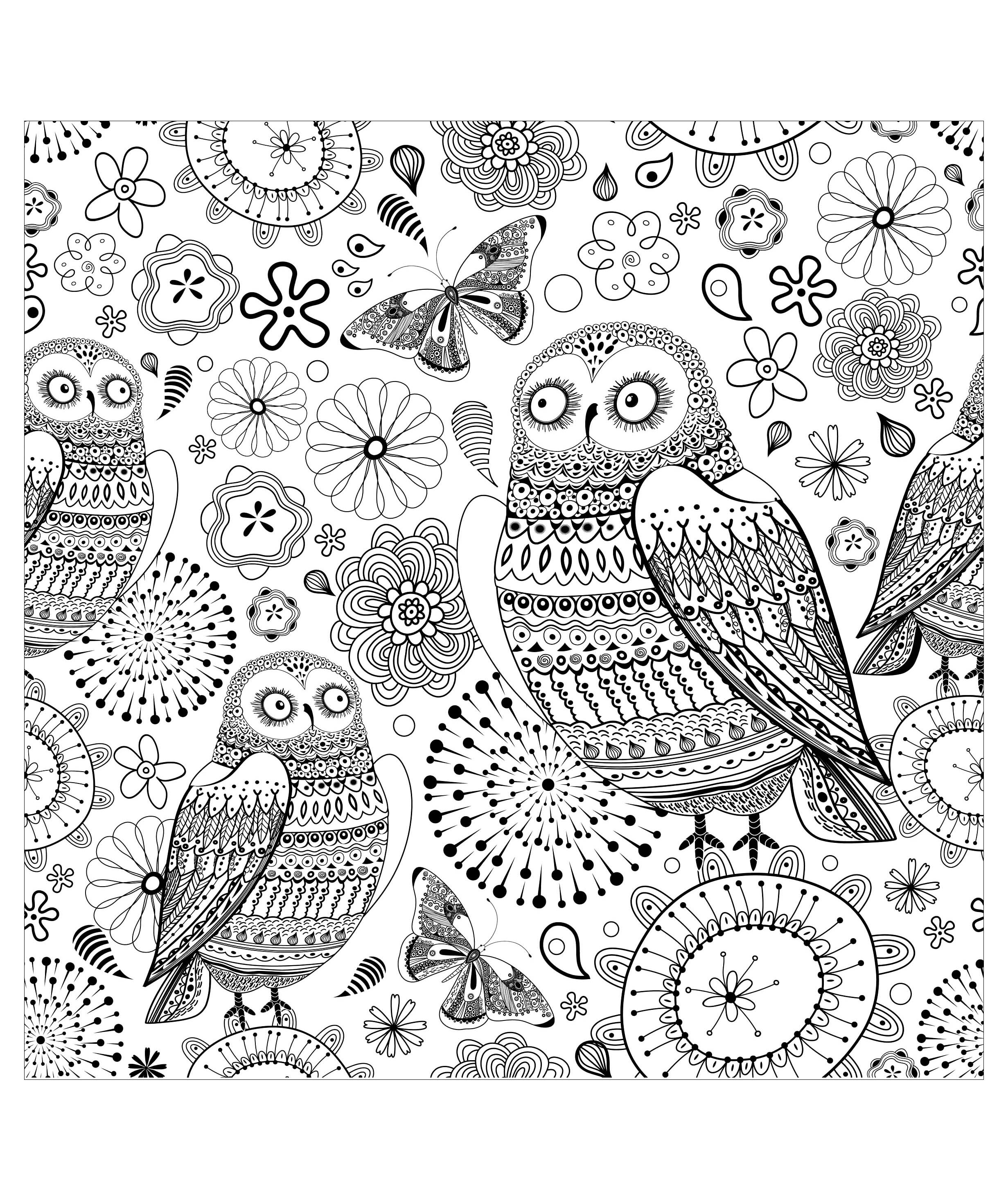 Owls