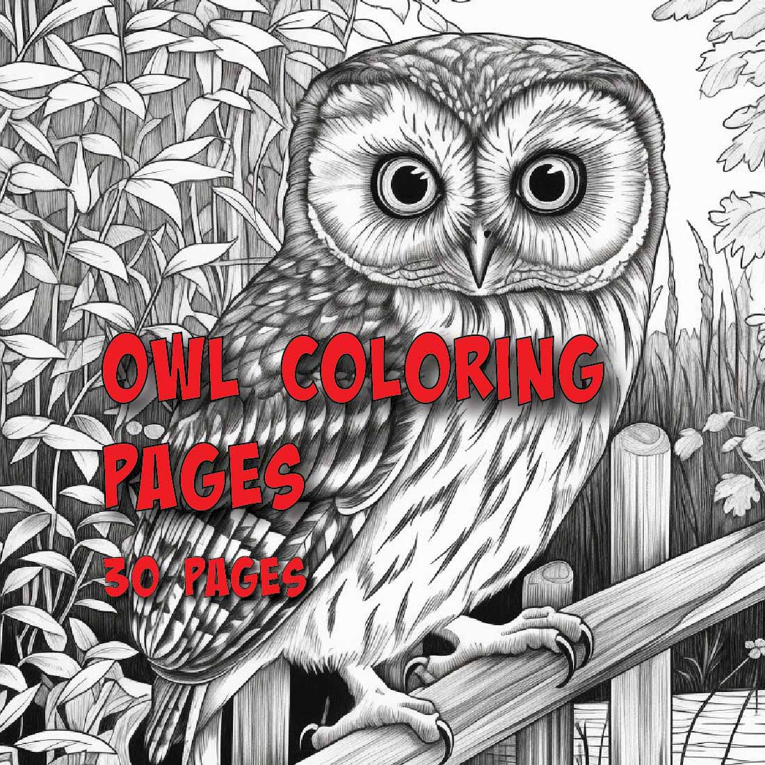 Owl coloring pages great for all age groups and skill levels pages of unique owls