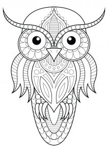 Owls