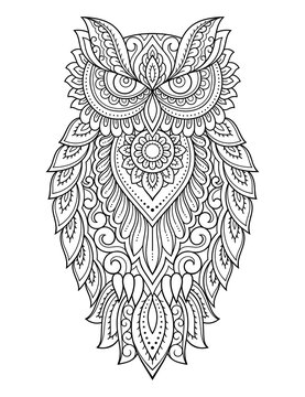 Owl coloring pages images â browse photos vectors and video