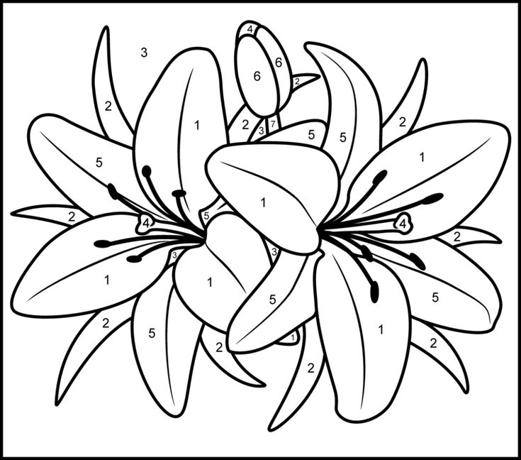 Printable paint by number coloring pages coloring pages flower coloring pages flower drawing