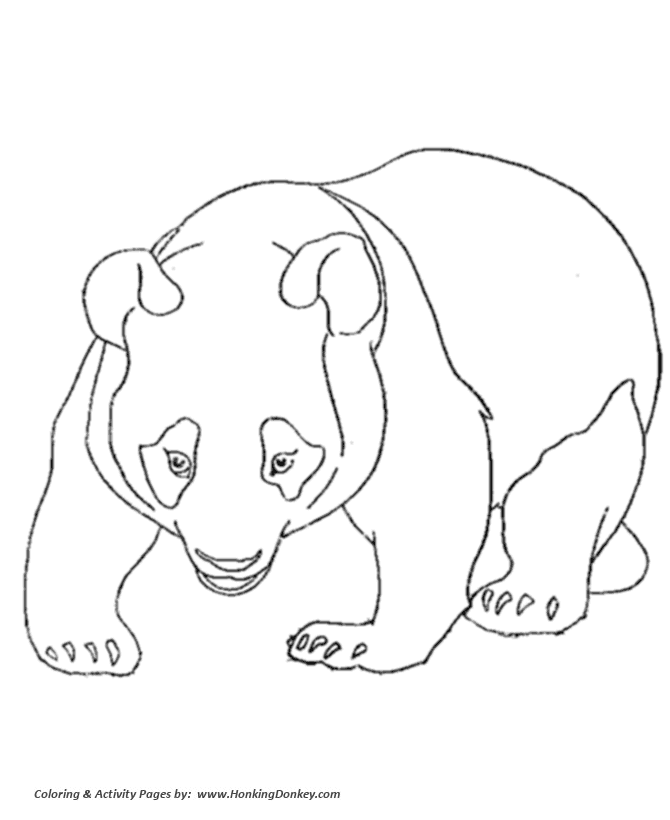 Wild animal coloring pages panda bear walking coloring page and kids activity sheet