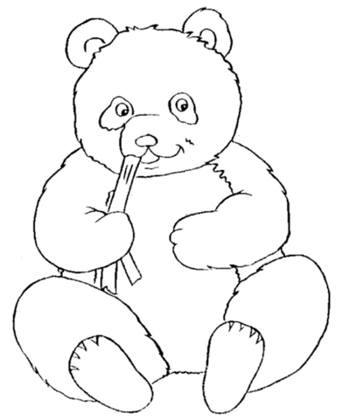Top panda bear coloring pages for your little ones this picture can be a good way of teachinâ panda coloring pages bear coloring pages animal coloring pages