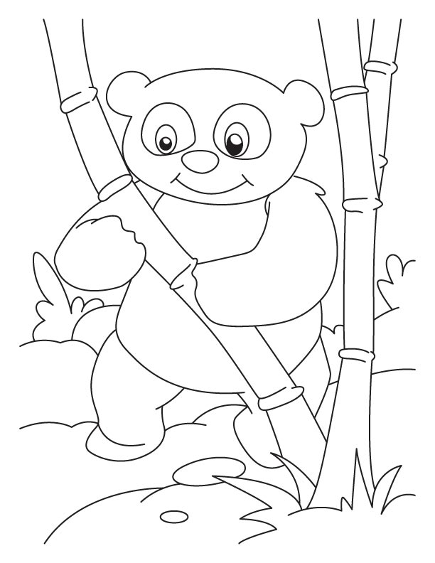 Bamboo lover panda coloring pages download free bamboo lover panda coloring pages for kids best coloring pages