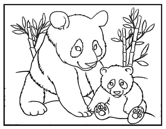 Panda bear coloring pages panda coloring pages bear coloring pages animal coloring pages