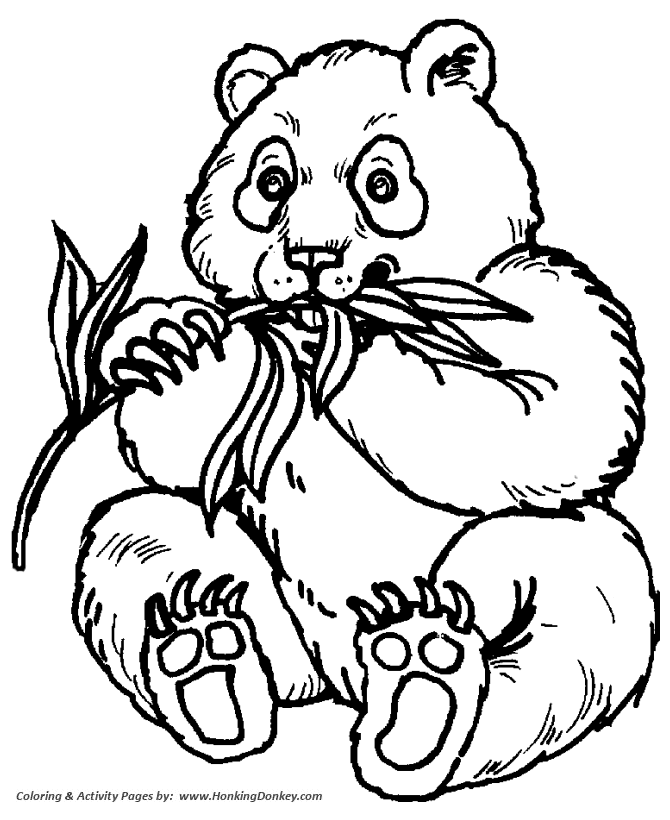 Wild animal coloring pages panda bear feeding coloring page and kids activity sheet