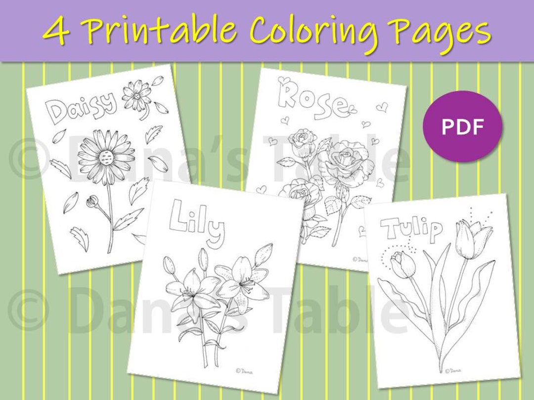 Printable coloring pages floral coloring flowers included rose lily tulip daisy kids coloring botanical coloring