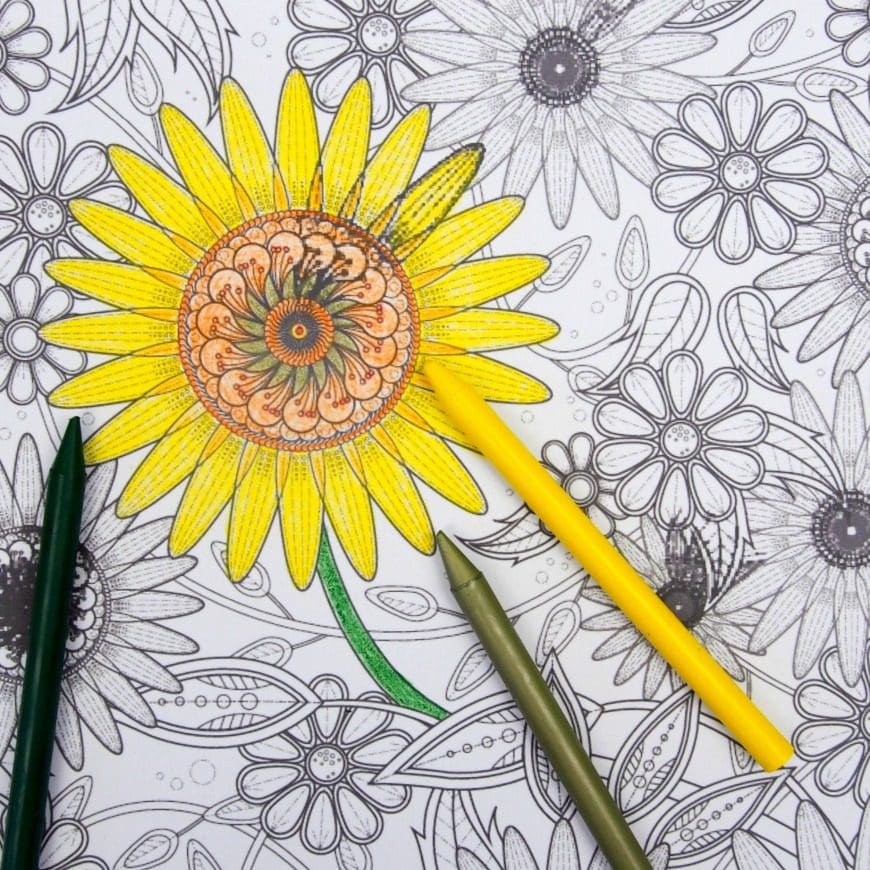 Sunflower colouring page mum in the madhouse