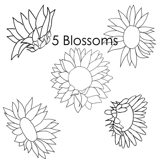 Sunflower patterns sunflower coloring pages