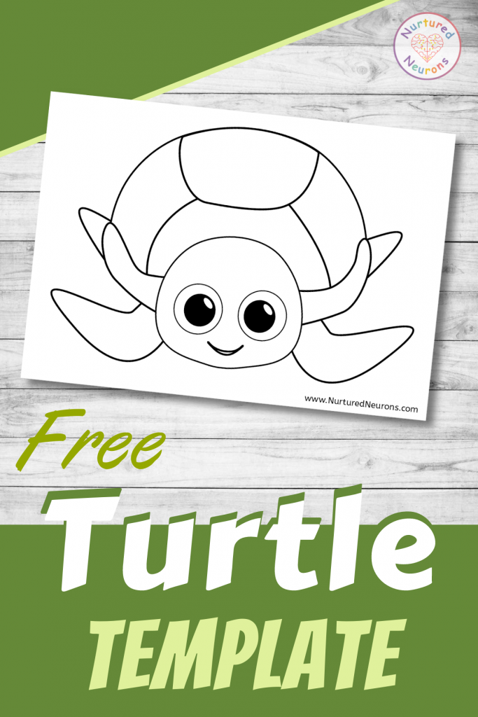 Cute turtle template great for preschool crafts