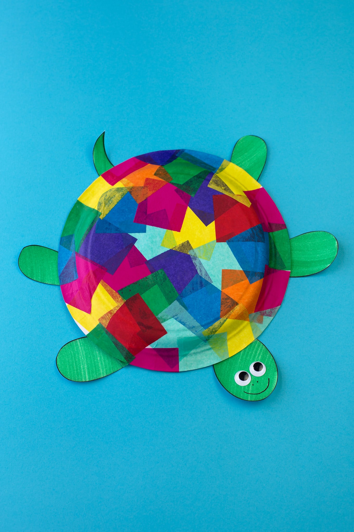 Tissue paper and paper plate turtle craft
