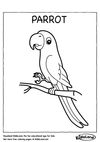 Download free parrot coloring page and educational activity worksheets for kids