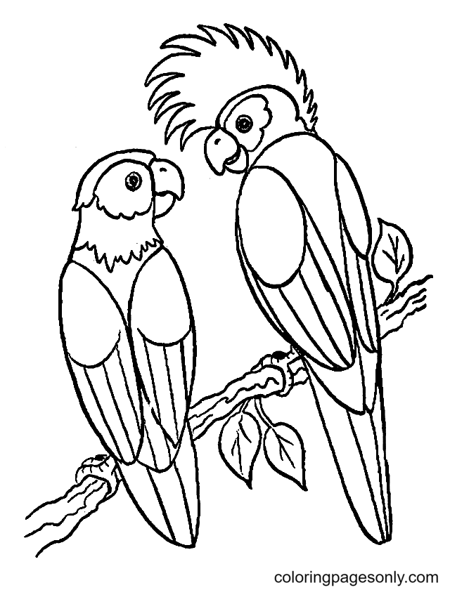 Parrot coloring pages printable for free download