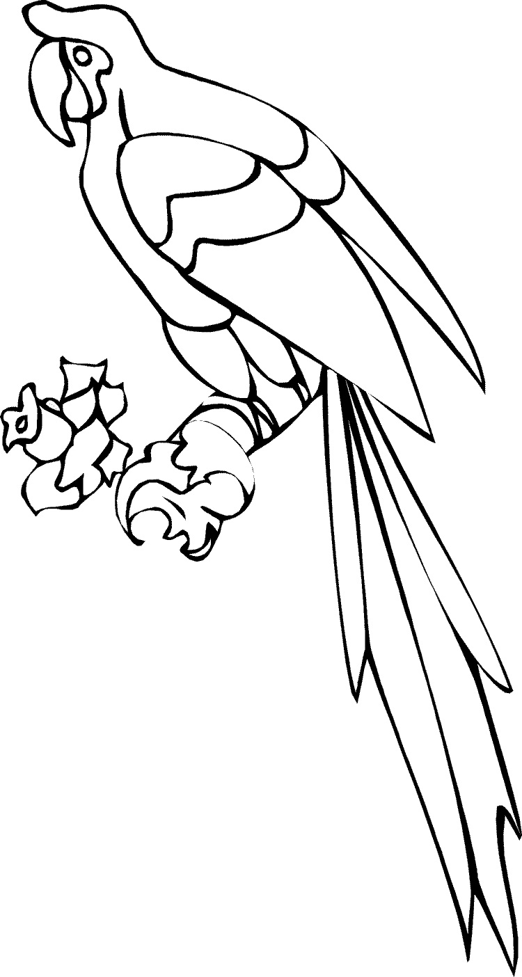 Free printable parrot coloring pages for kids