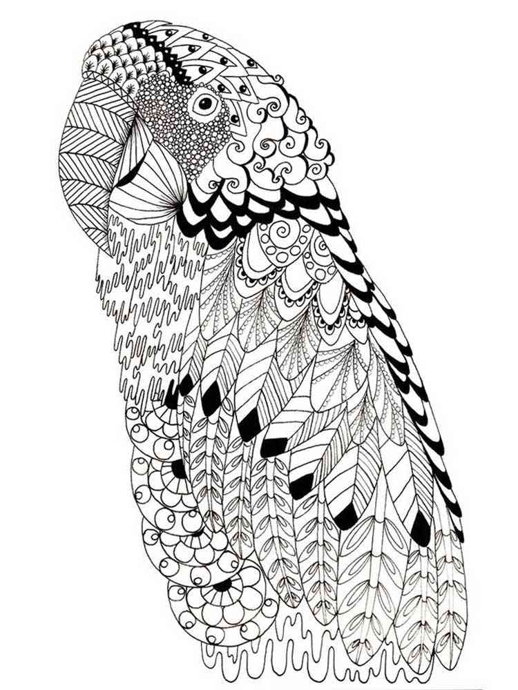 Parrot coloring pages for adults