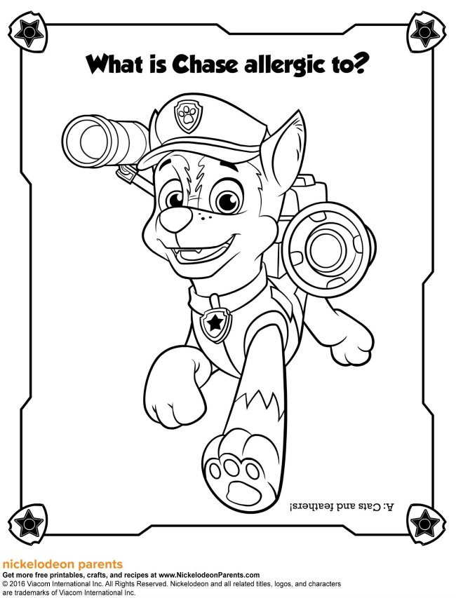 Paw patrol activity sheets and colouring game on