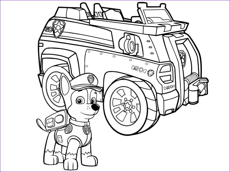 Unique collection of coloring paw patrol coloriage pat patrouille coloriage camion dessin pat patrouille