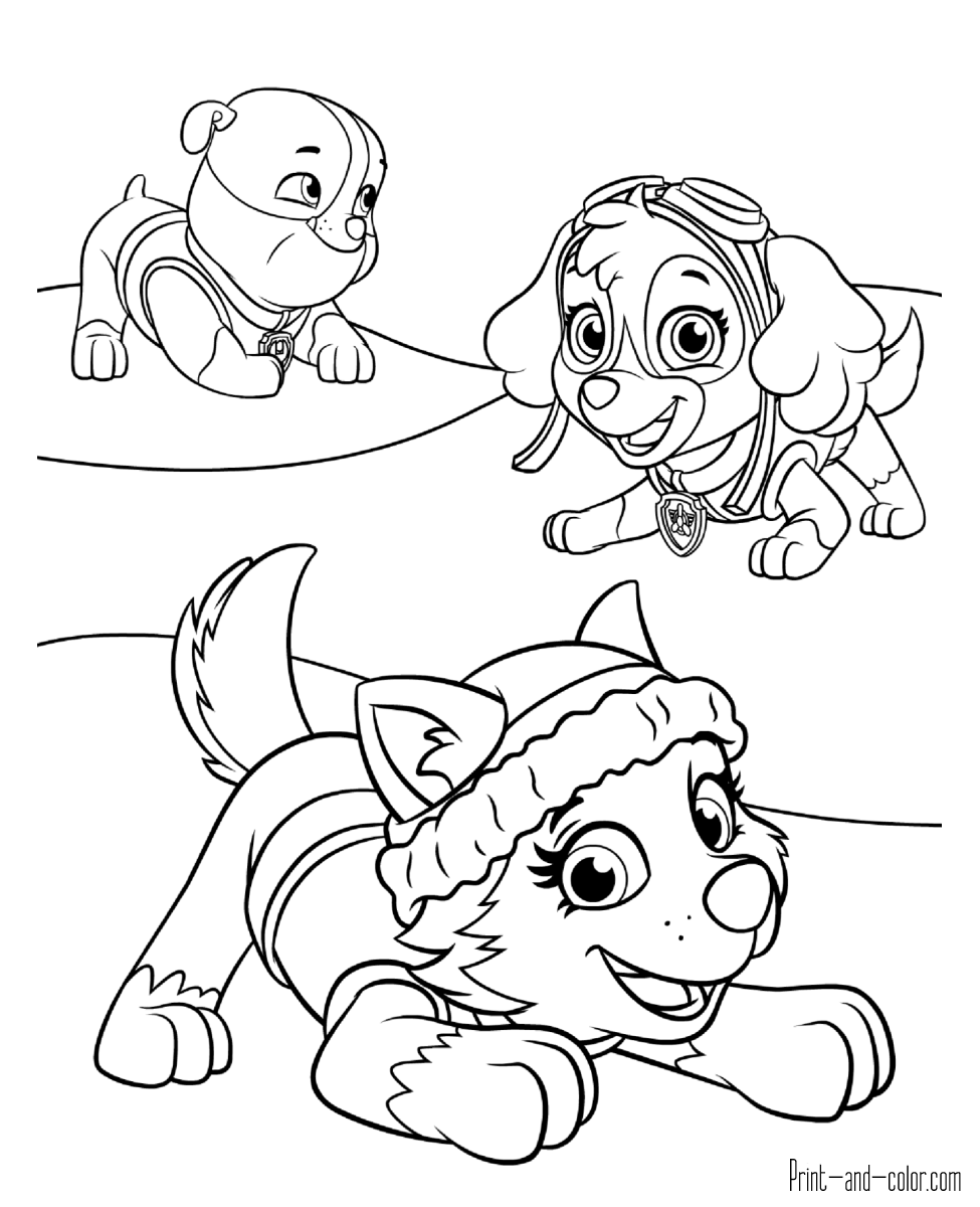 Paw patrol coloring pages print and color