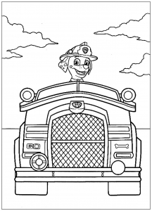 Paw patrol