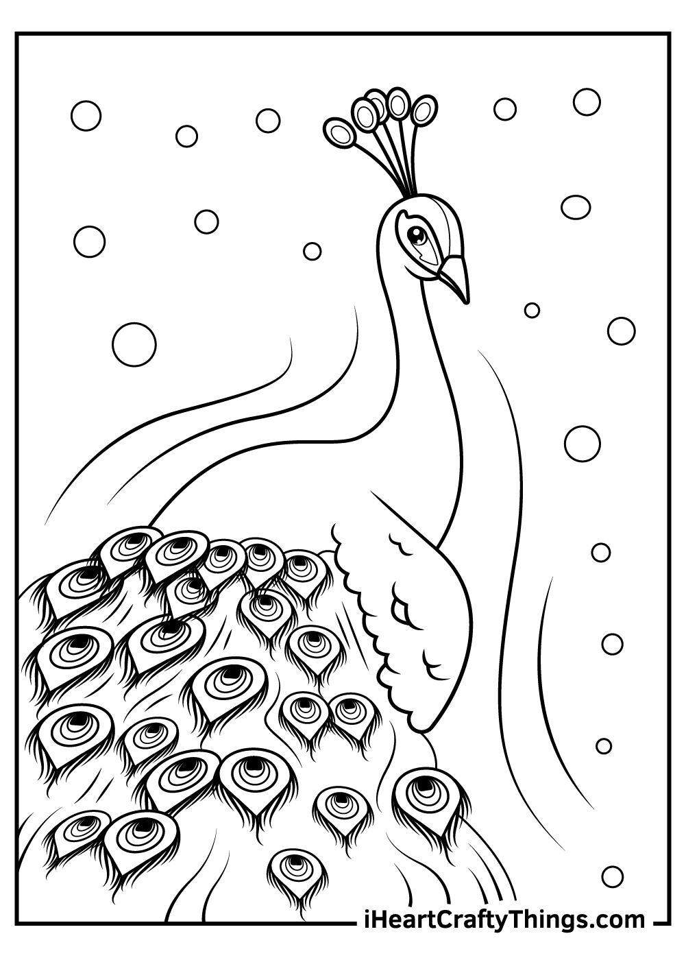 Peacocks coloring pages free printables