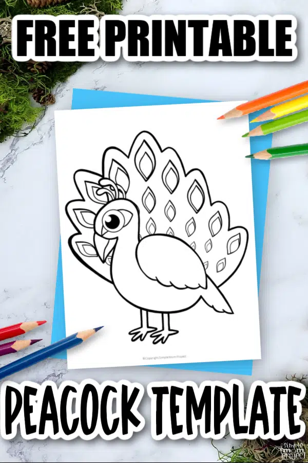 Free printable peacock template â simple mom project