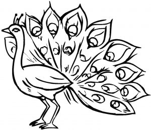 Peacocks