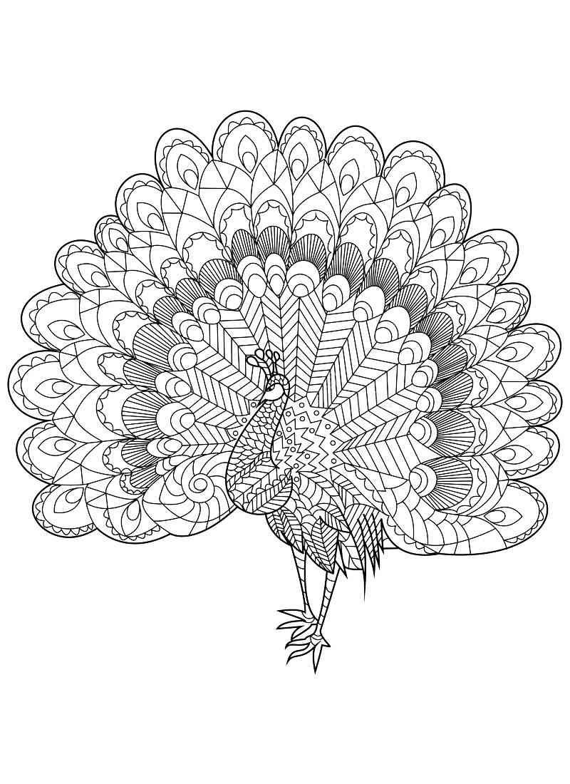 Peacock coloring pages for adults
