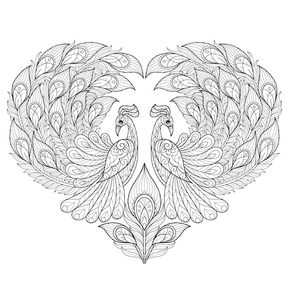 Cute coloring book peacock print kids activity book digital downloadable birds coloring page for adult and kids medium difficulty