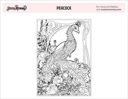 Shake your tail feathers these peacock coloring pages are wild