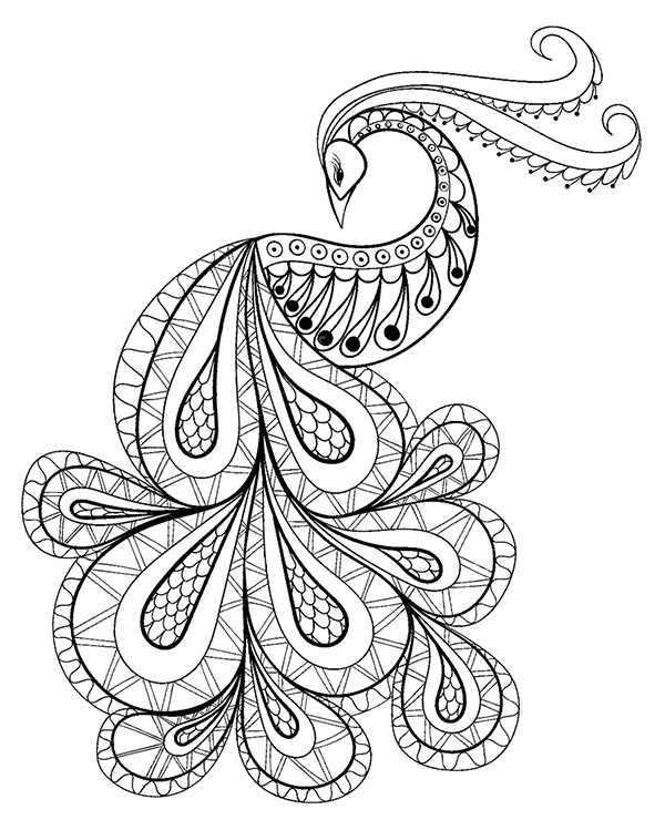 Peacock