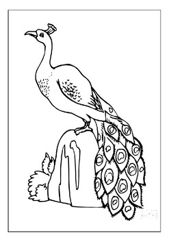 Find peace and mindfulness with our printable peacock coloring sheets pages
