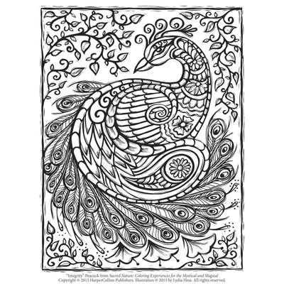 Peacock adult coloring page