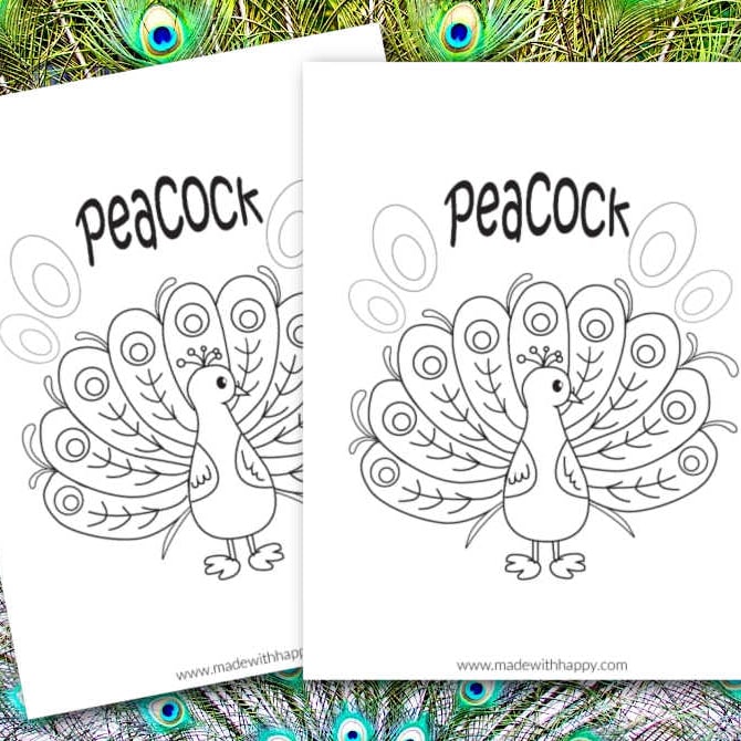 Free printable peacock coloring page