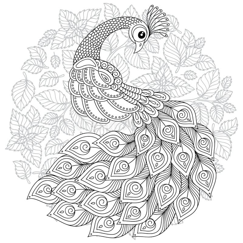 Peacock in zentangle style adult antistress coloring page stock vector