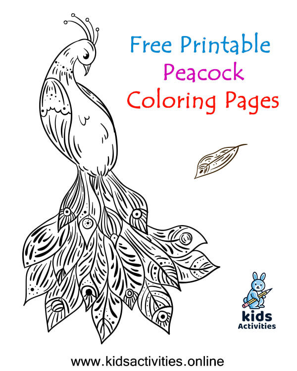 Free printable peacock coloring pages â kids activities