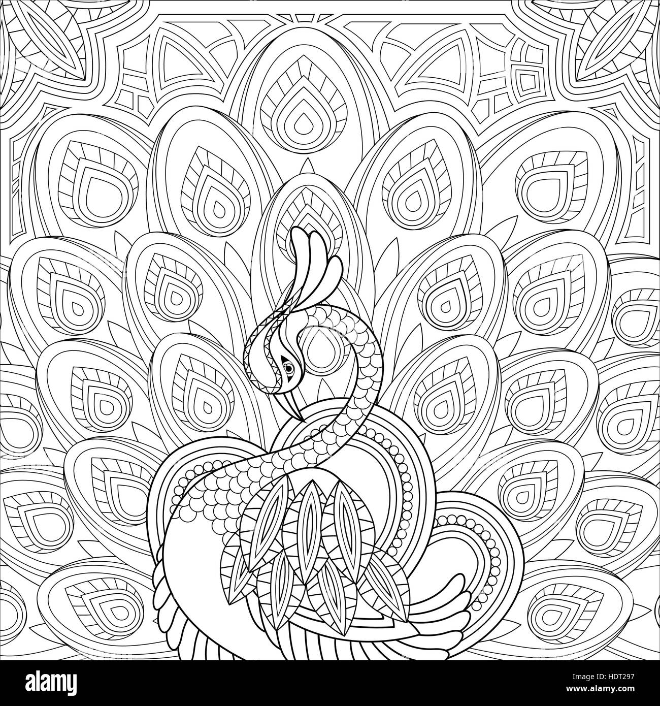 Elegant peacock coloring page in exquisite style stock vector image art