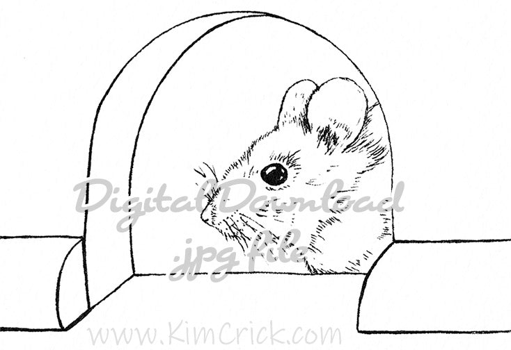 Digital file