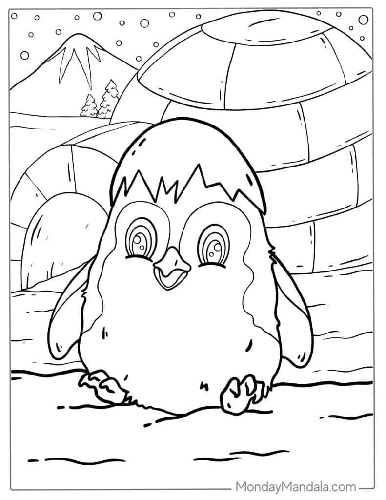 Penguin coloring pages free pdf printables