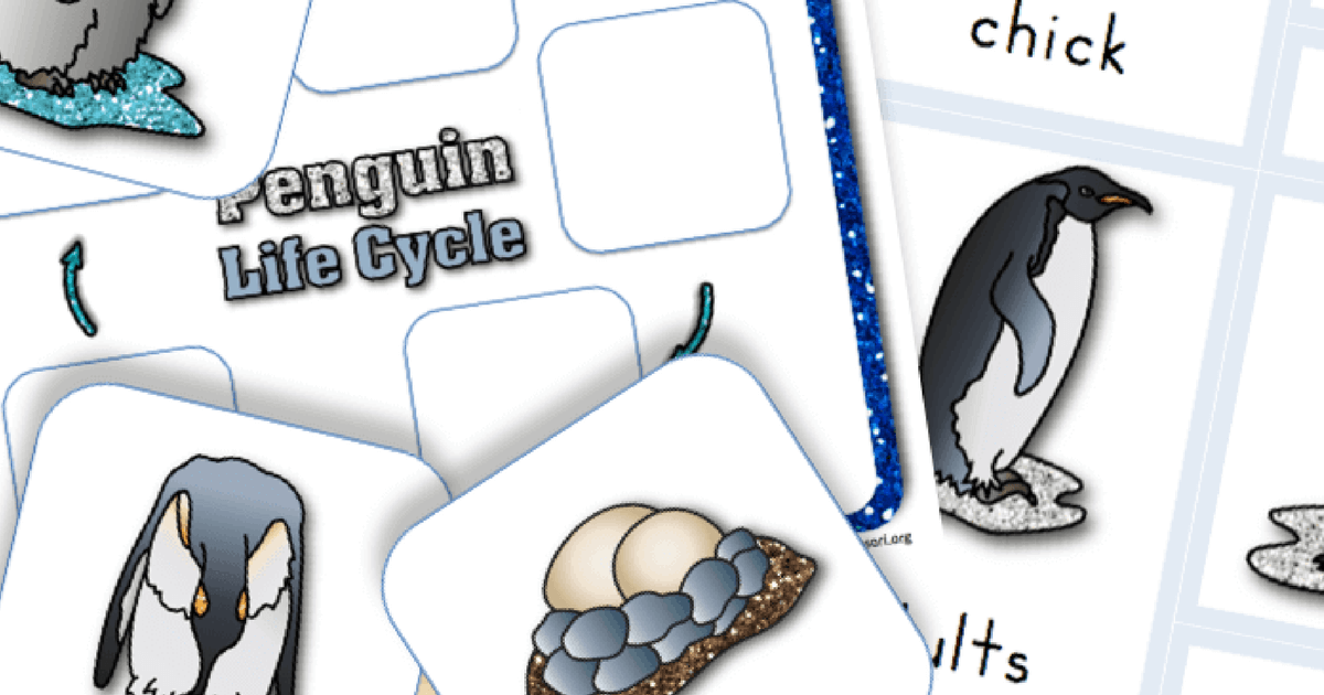 Free printable life cycle of a penguin