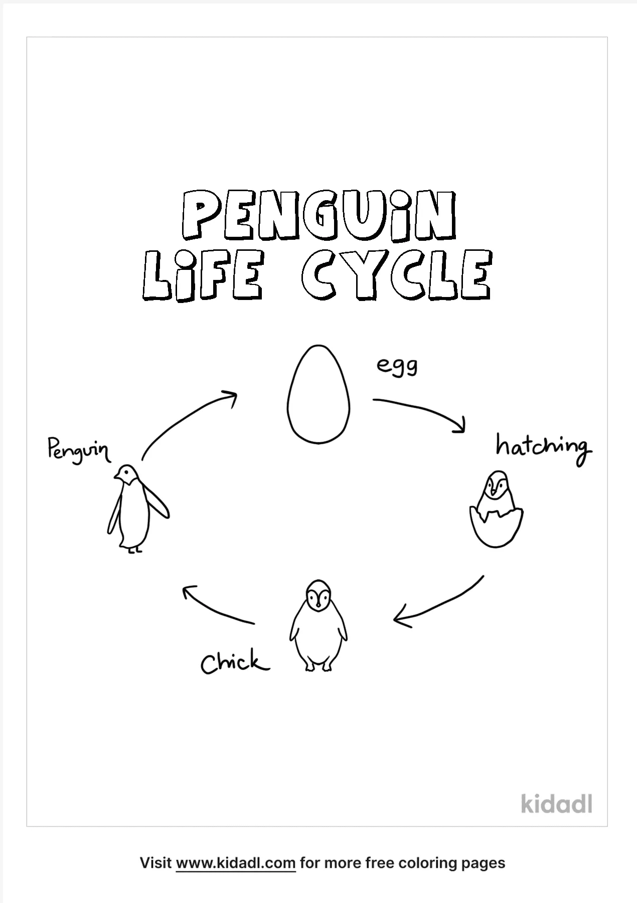 Free emperor penguin life cycle coloring page coloring page printables