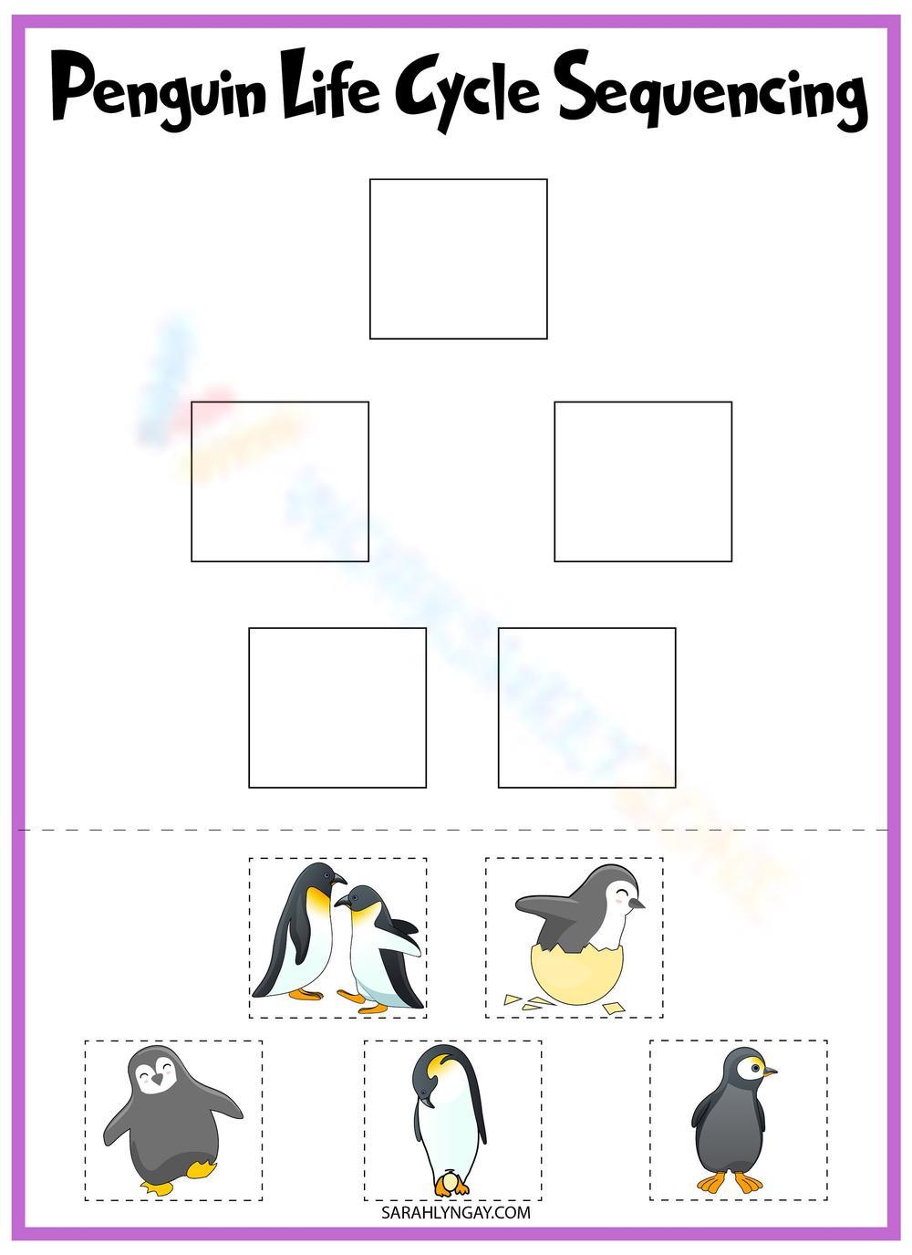 Free printable interactive penguin life cycle worksheets