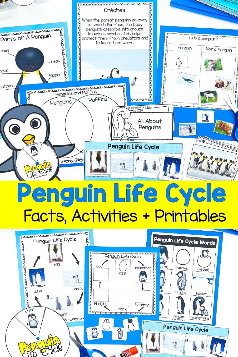 Penguin life cycle